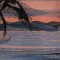 BFC0612 Window - Sunrise on a Florida Beach