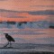 BFC0612 Window - Sunrise on a Florida Beach