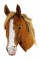 BFC0615 Portraits-Horses II