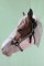 BFC0615 Portraits-Horses II