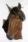 BFC0615 Portraits-Horses II