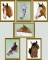 BFC0615 Portraits-Horses II