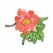 BFC0617 Shoulder Drapes - Floral Pheasant