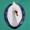BFC0620 Swans