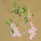 BFC0622 Shoulder Drapes - Dogwood