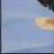 BFC0625  A Collage - Freedom