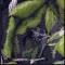 BFC0625  A Collage - Freedom