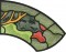 BFC0629 Stained Glass-Parrot