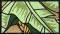 BFC0629 Stained Glass-Parrot