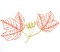 BFC0630 Color Sketches-Autumn Leaves