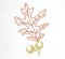 BFC0630 Color Sketches-Autumn Leaves