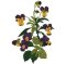RMG634 Pansy Set