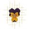 RMG634 Pansy Set