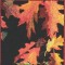 BFC0636 An Autumn Collage
