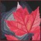 BFC0636 An Autumn Collage