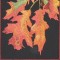 BFC0636 An Autumn Collage