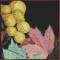 BFC0636 An Autumn Collage