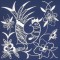 BFC0637 Chinese Indigo - Quilt Blocks I