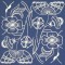 BFC0638 Chinese Indigo - Quilt Blocks II