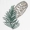 BFC0642 Color Sketches-Evergreens