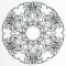 BFC0643  Kinetic Circles