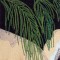 BFC0645 Window-Flamingo Paradise