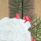 BFC0647 Window-Holly and White Roses