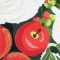 BFC0647 Window-Holly and White Roses