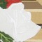 BFC0647 Window-Holly and White Roses
