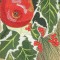BFC0647 Window-Holly and White Roses