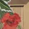 BFC0647 Window-Holly and White Roses