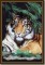 BFC0654 Window-Tiger II