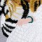 BFC0656 Lady and the Tiger I