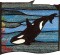 BFC0658 Stained Glass- Orcas