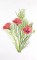 BFC0660 Botanical Prints
