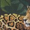 BFC0668 Window-Jaguar