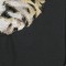 BFC0670 Window-Cheetah