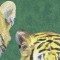 BFC0672 Window-Big Cat Medley