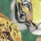 BFC0672 Window-Big Cat Medley