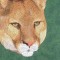 BFC0672 Window-Big Cat Medley