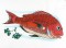 BFC0673 Oriental Under The Sea