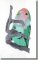 BFC0674 Lovebird No. 1