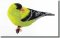 BFC0674 Finch No. 1