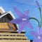 BFC0675 Windows on the World - Australia