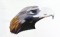BFC0680 Portraits-Eagles