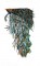 BFC0683 Peacock