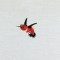 BFC0684 Hummingbird Fantasy Garden
