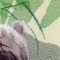 BFC0685 Window-Bear Cubs
