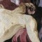 BFC0689 Window - A Pieta