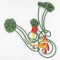 BFC0693 Nasturtiums